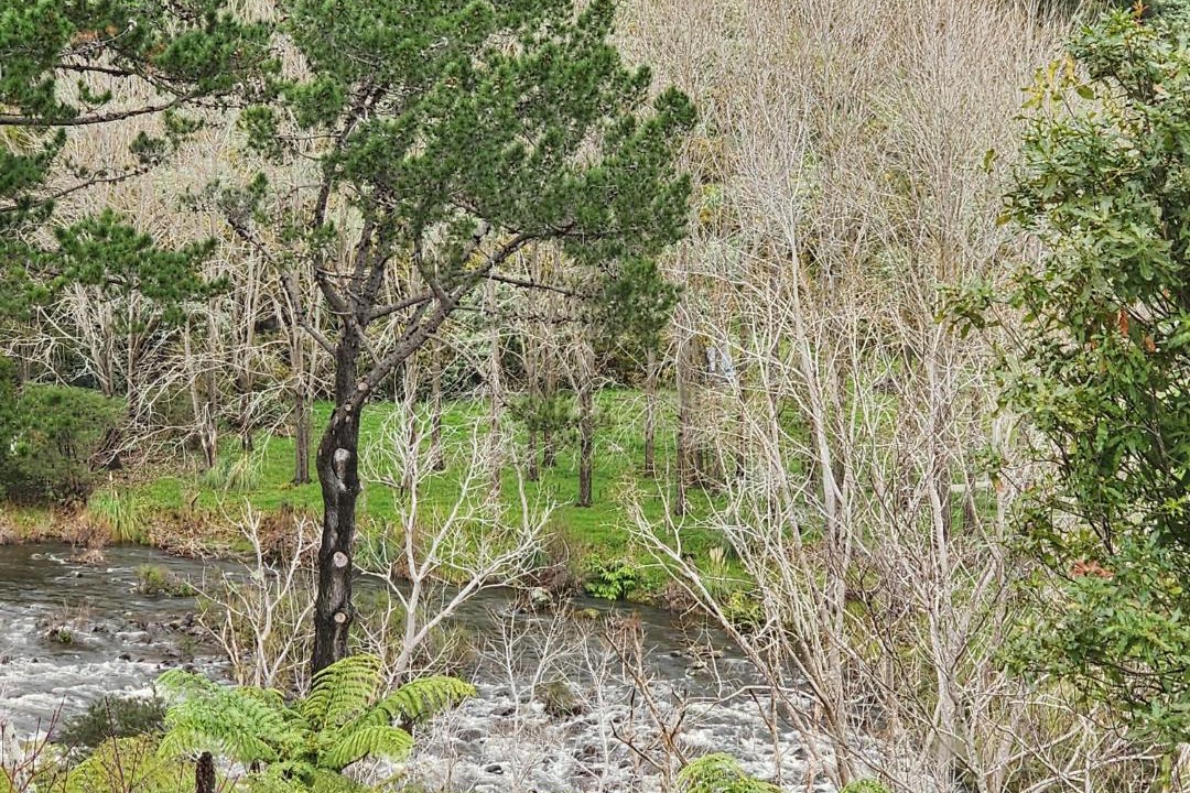 Photo of Others in Thames