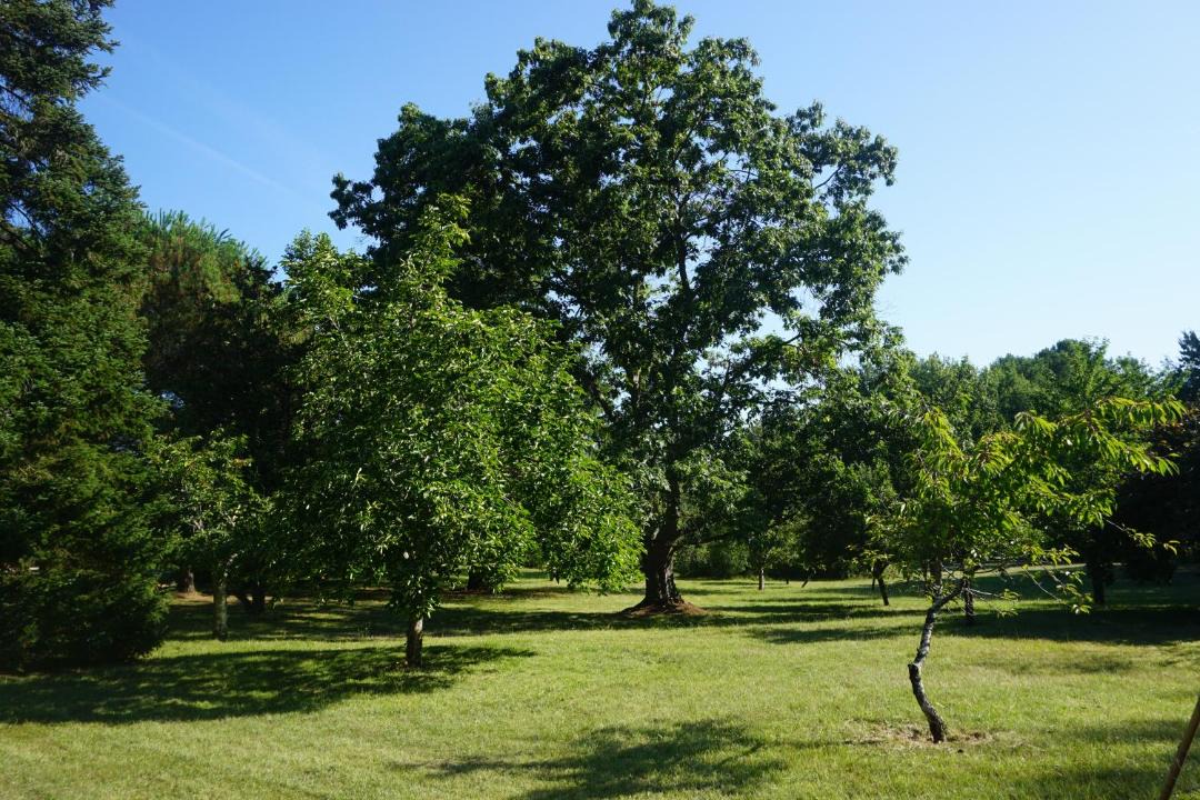 Photo of Others in Pressignac-Vicq