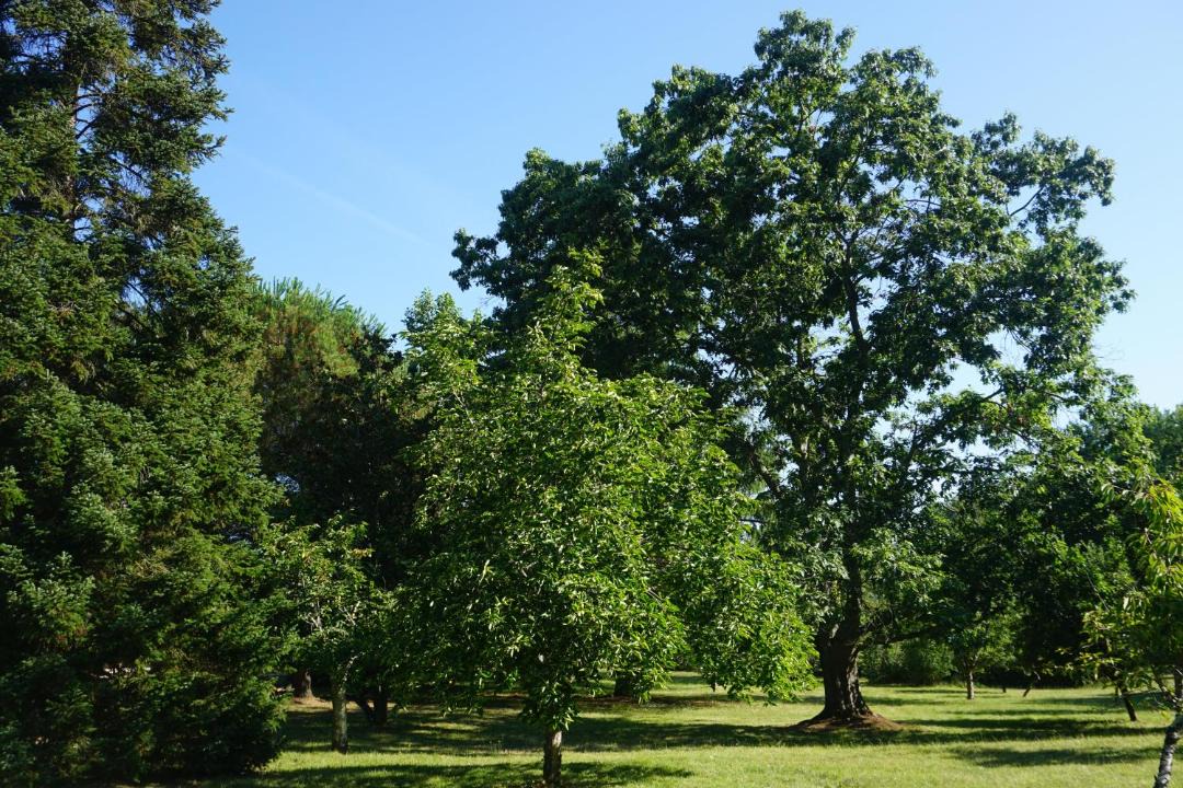 Photo of Others in Pressignac-Vicq