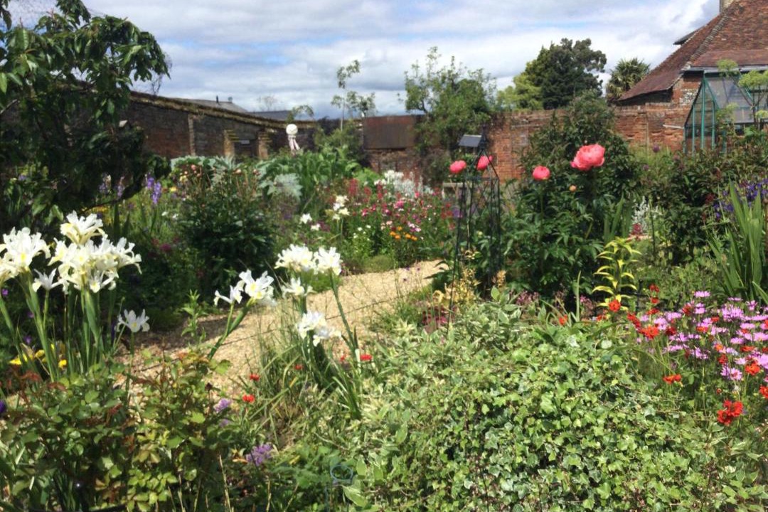 Photo of Others in Great Chishall