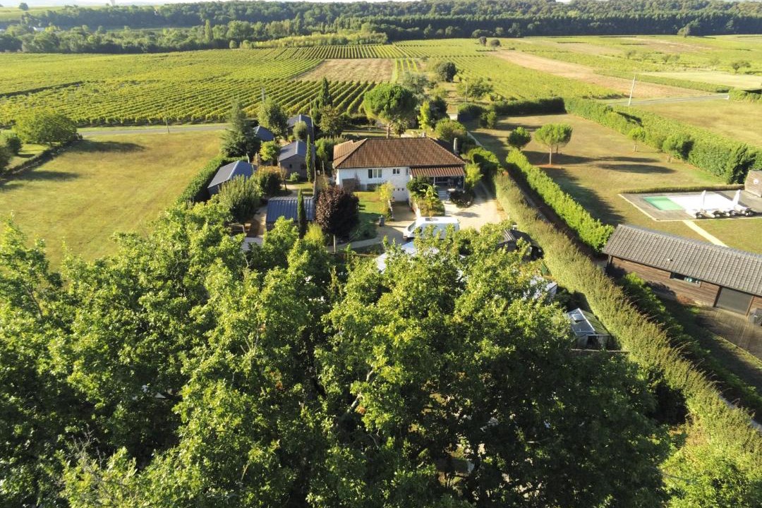 Photo of Others in Bourg-Charente