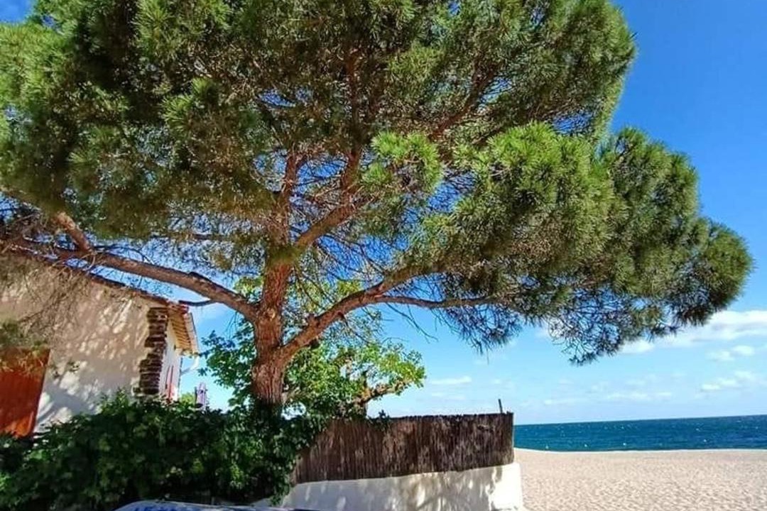 Photo of Others in Argeles Plage