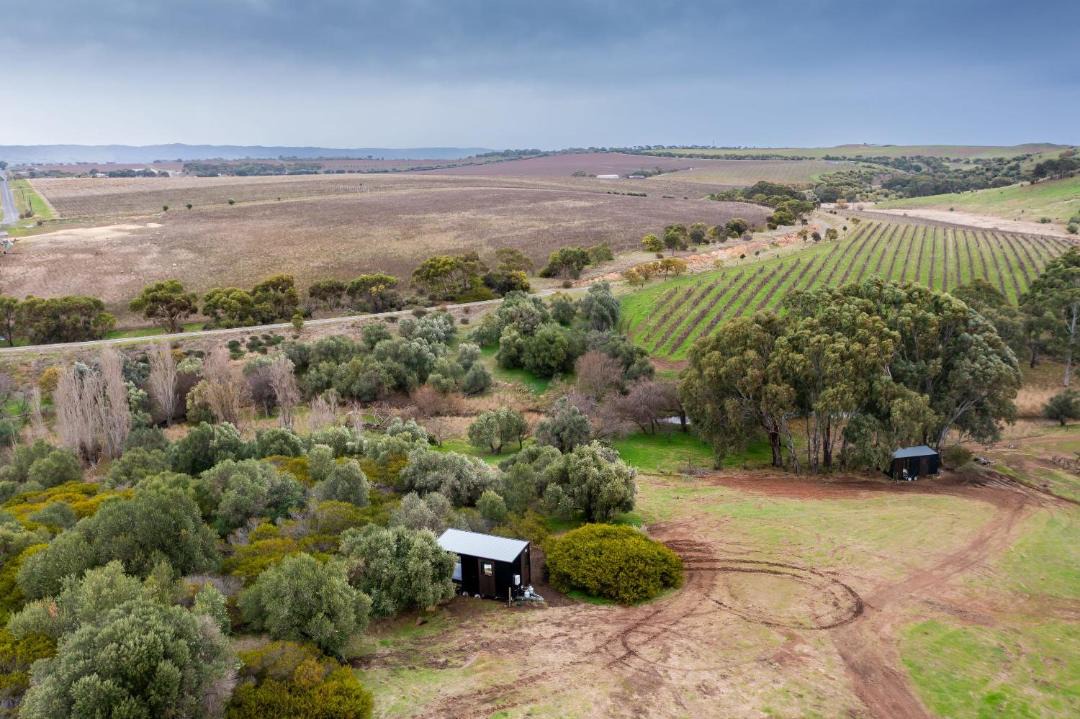 Photo of Others in McLaren Vale