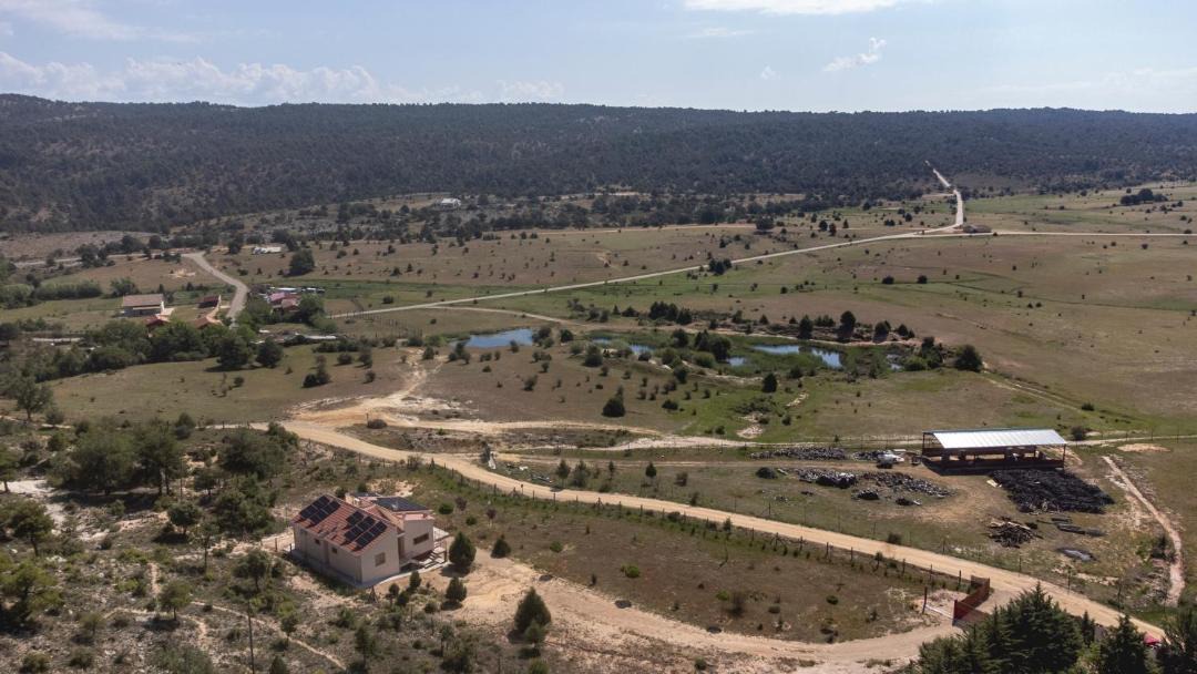 Photo of Others in Buenache de la Sierra