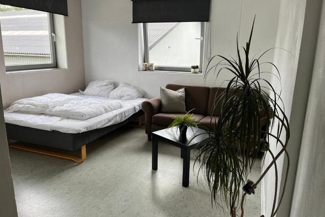 Photo of Others in Jelling