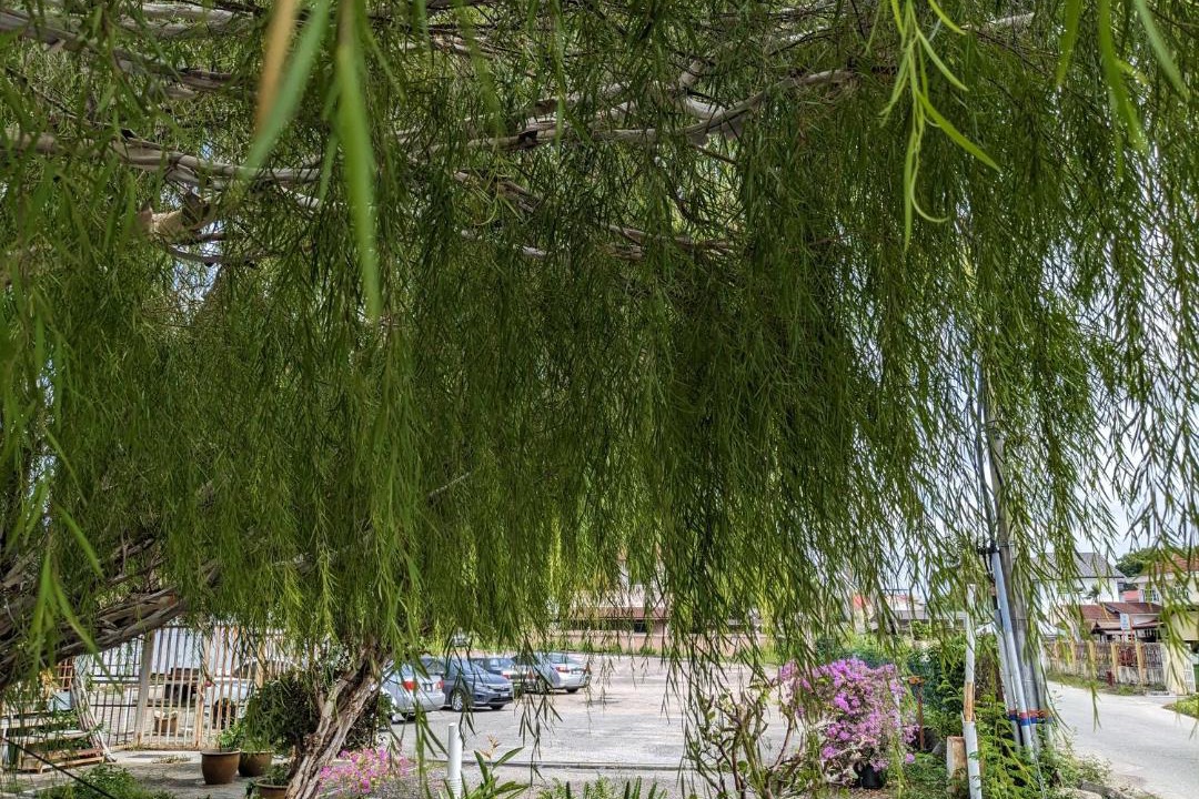 Photo of Outdoor in Kampung Telaga Nibong