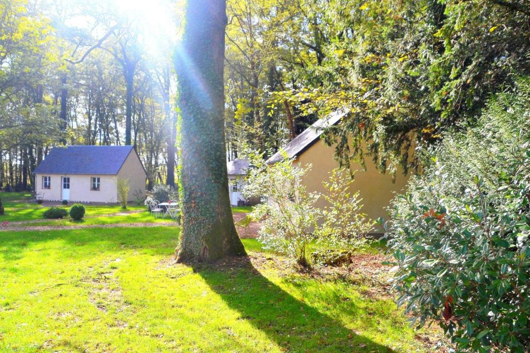 Photo of Others in Saint-Fargeau