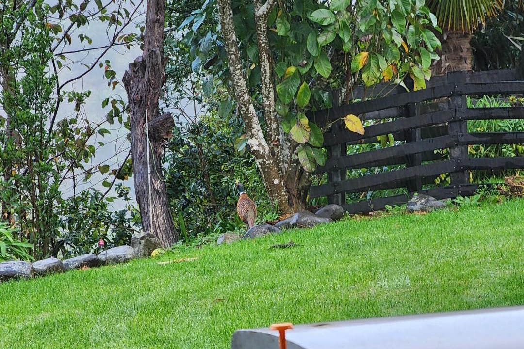 Photo of Others in Thames