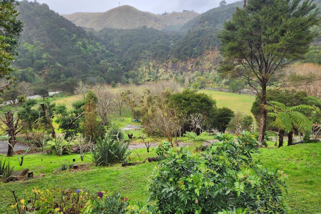 Photo of Others in Thames