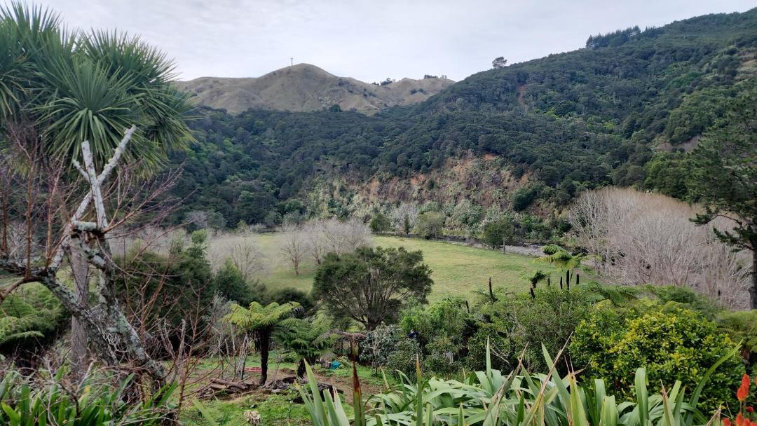 Photo of Others in Thames