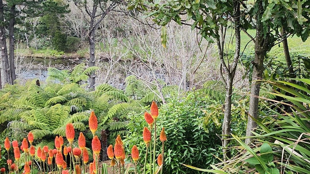 Photo of Others in Thames