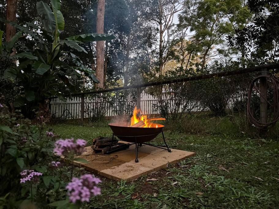 Photo of Others in Maleny