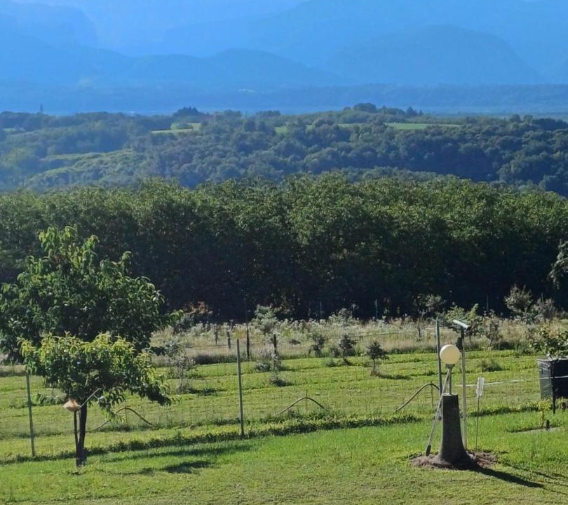 Photo of Others in Saint-Lattier