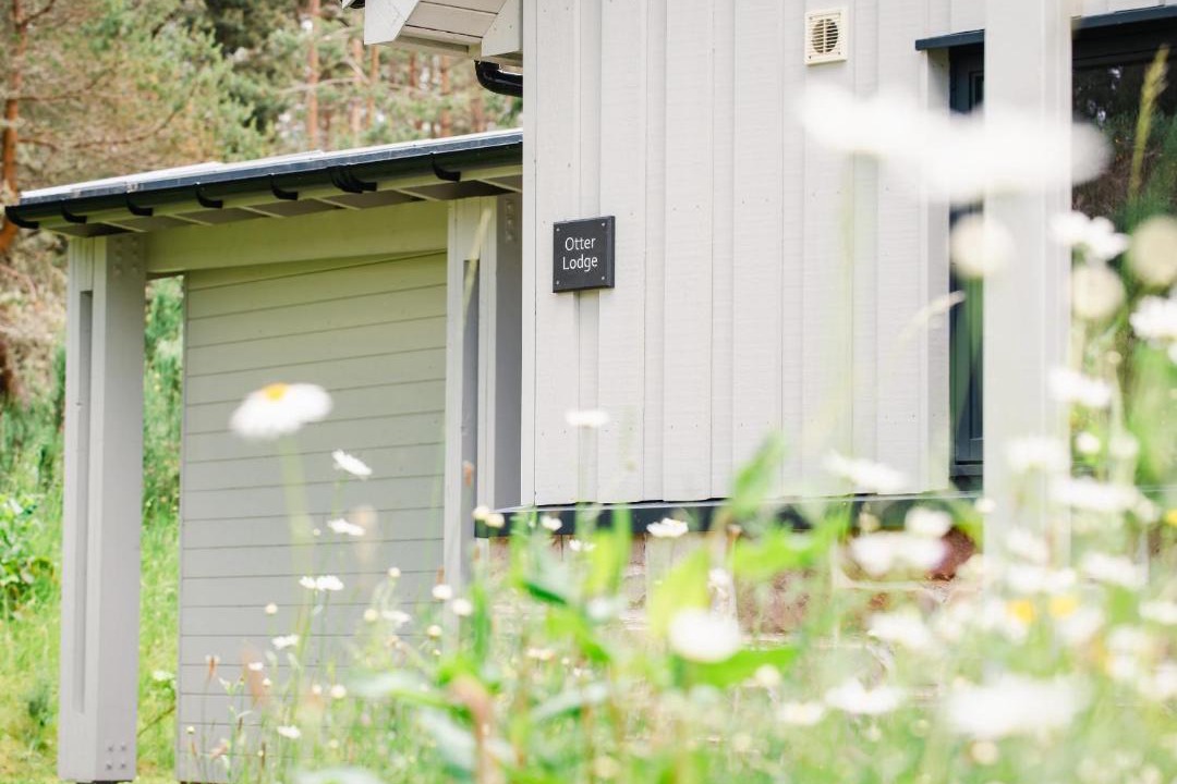 Photo of Others in Alvie