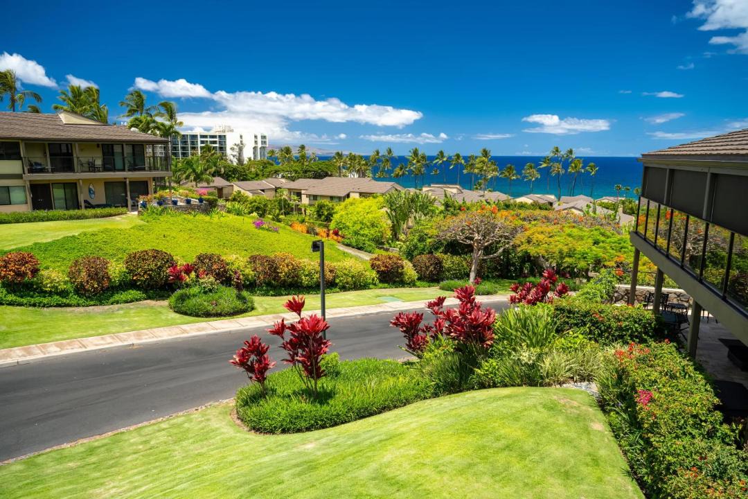 Photo of Others in Wailea