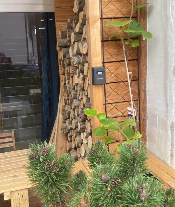 Photo of Others in Gimel