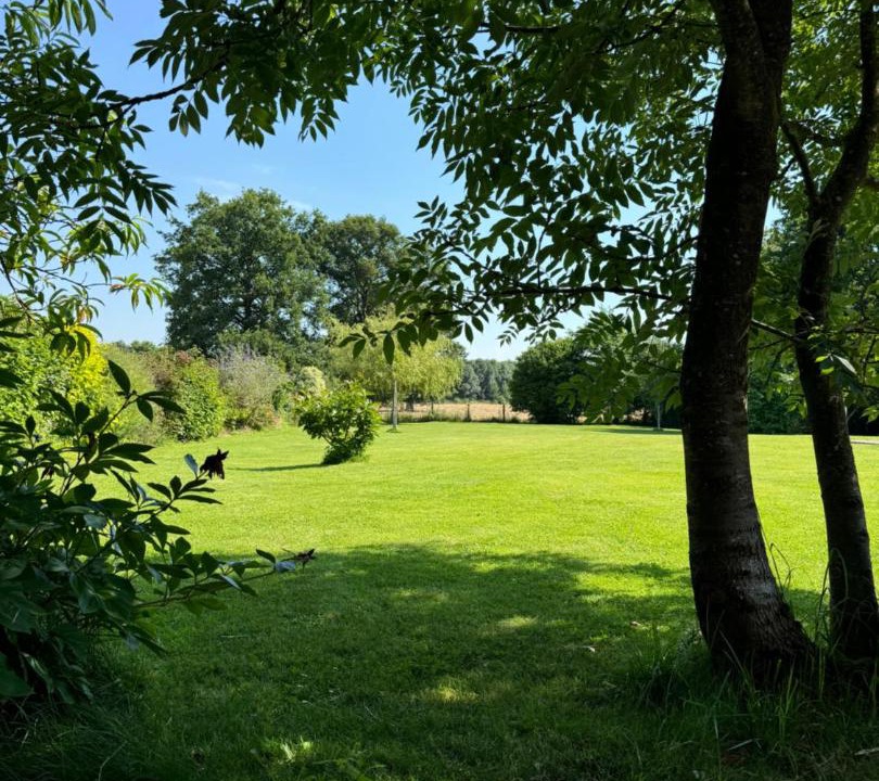 Photo of Others in La Chapelle-Saint-Aubert