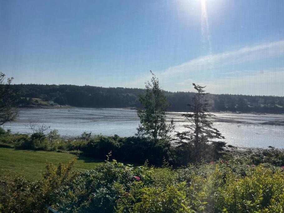 Photo of Others in West Tremont