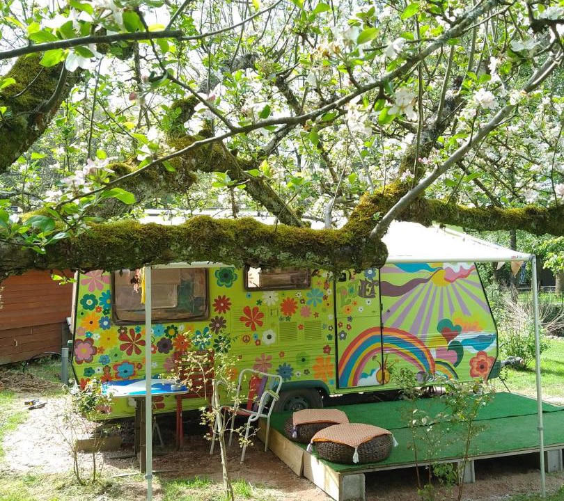 Photo of Others in Rasey