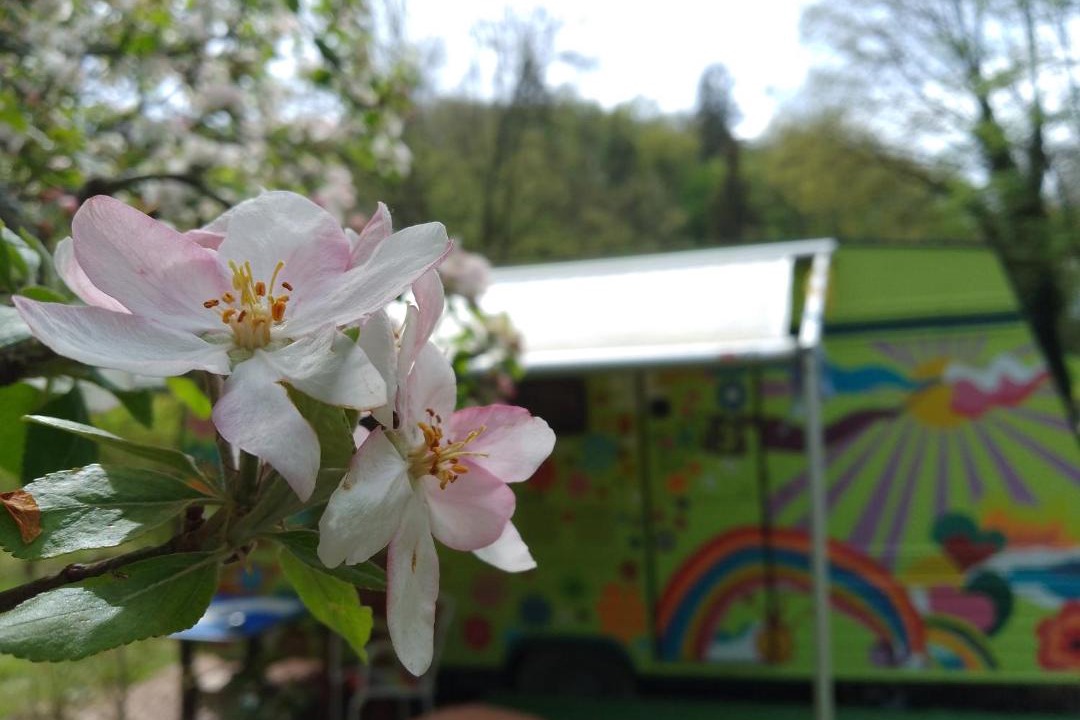 Photo of Others in Rasey