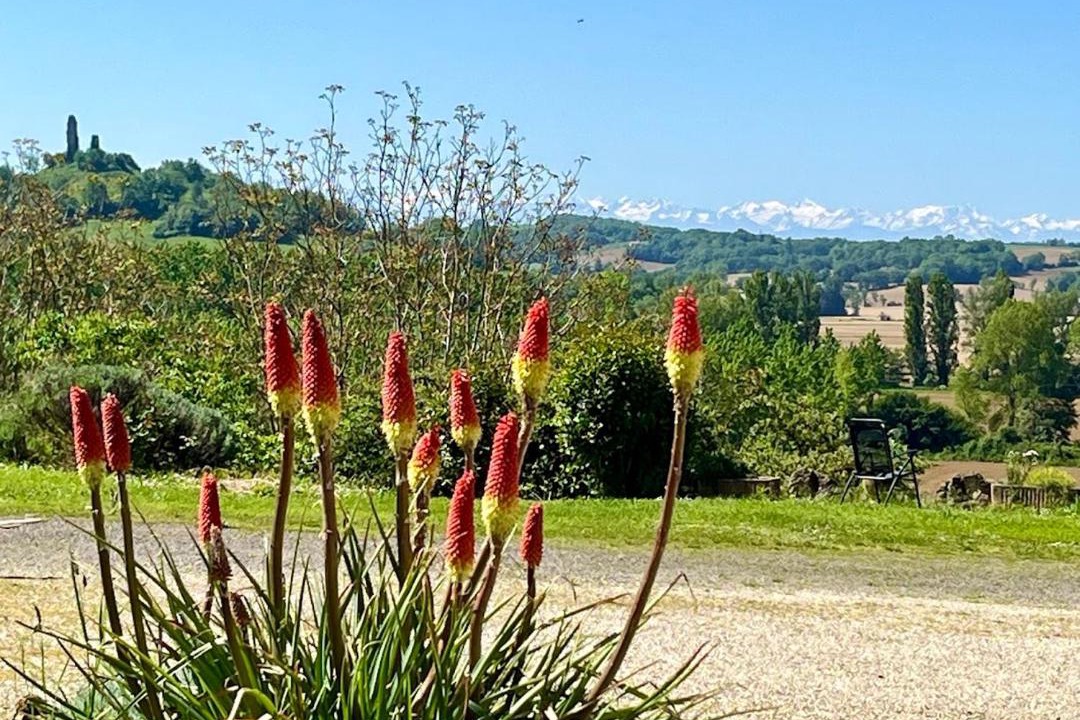 Photo of Others in Laveraet