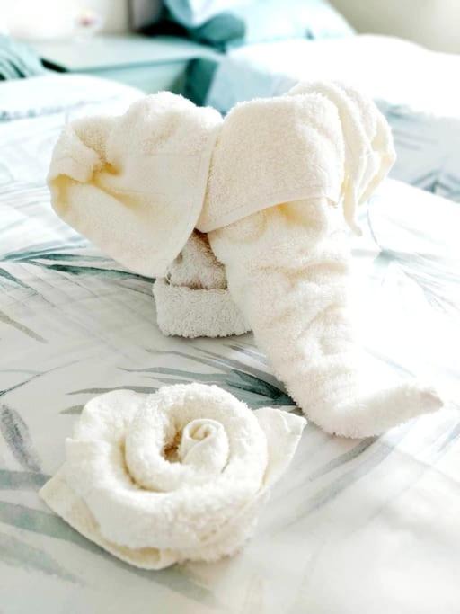 Photo of Others in Rugby