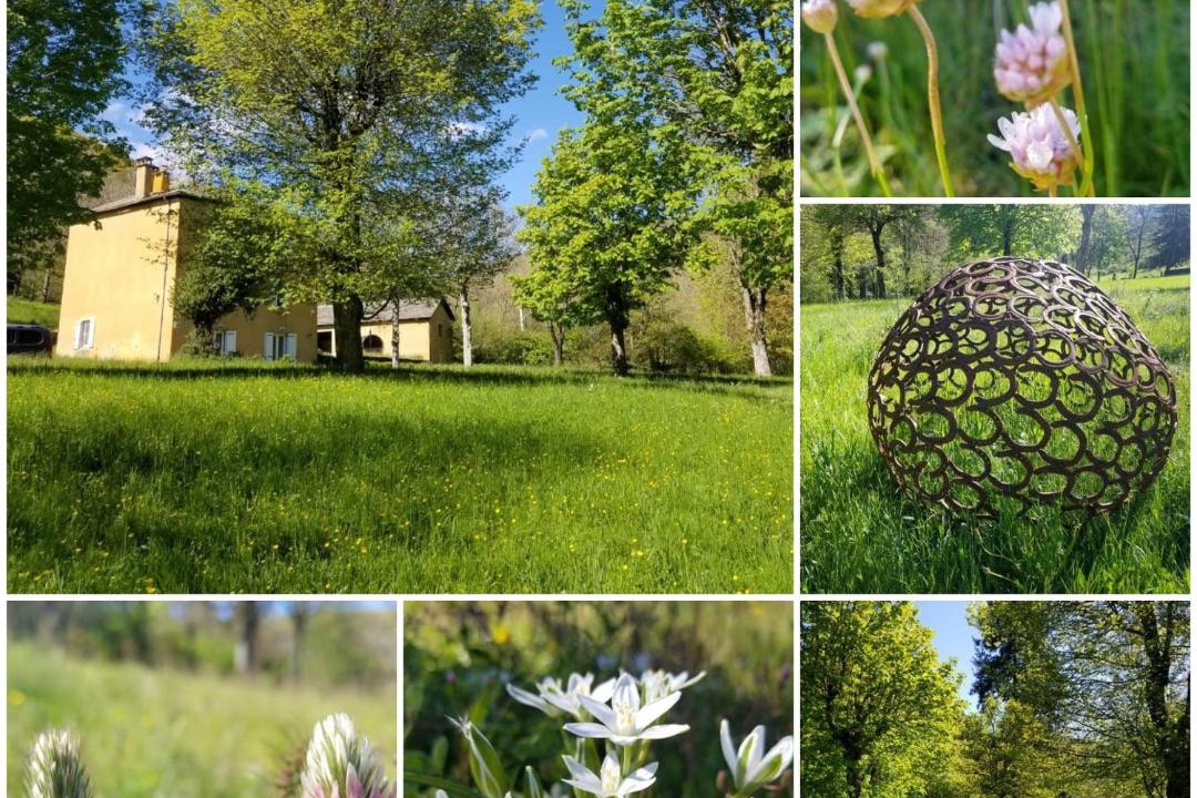 Photo of Others in Meyrueis