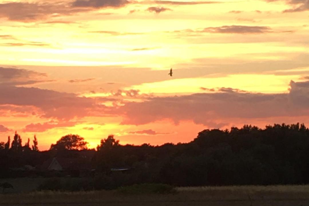 Photo of Others in Thurø By