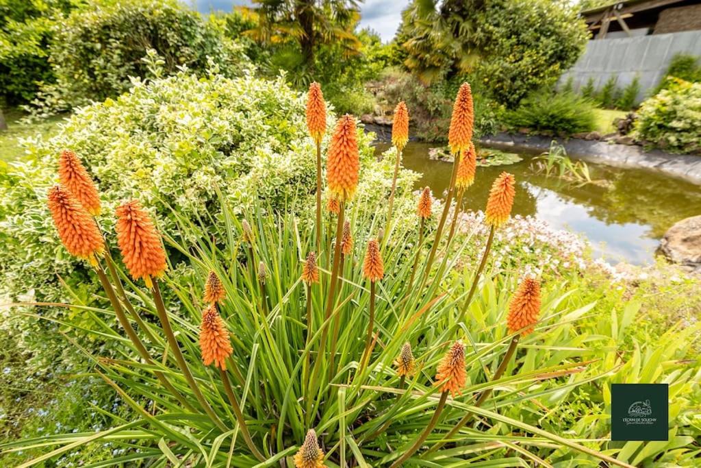Photo of Others in Soligny-les-Etangs