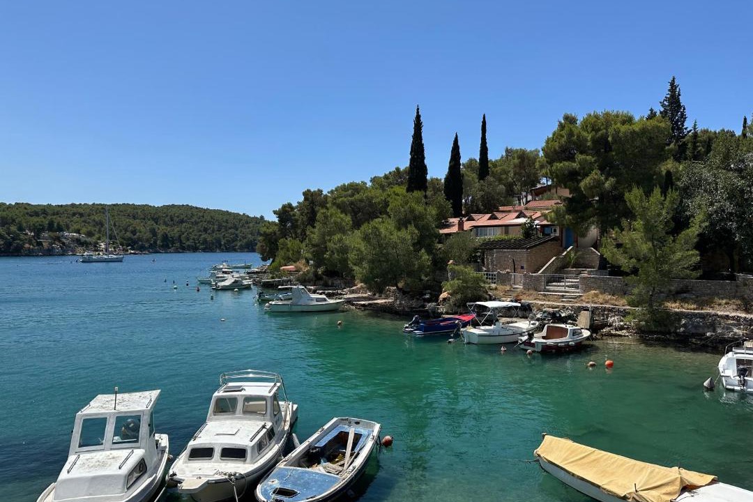 Photo of Others in Cove Osibova (Milna)