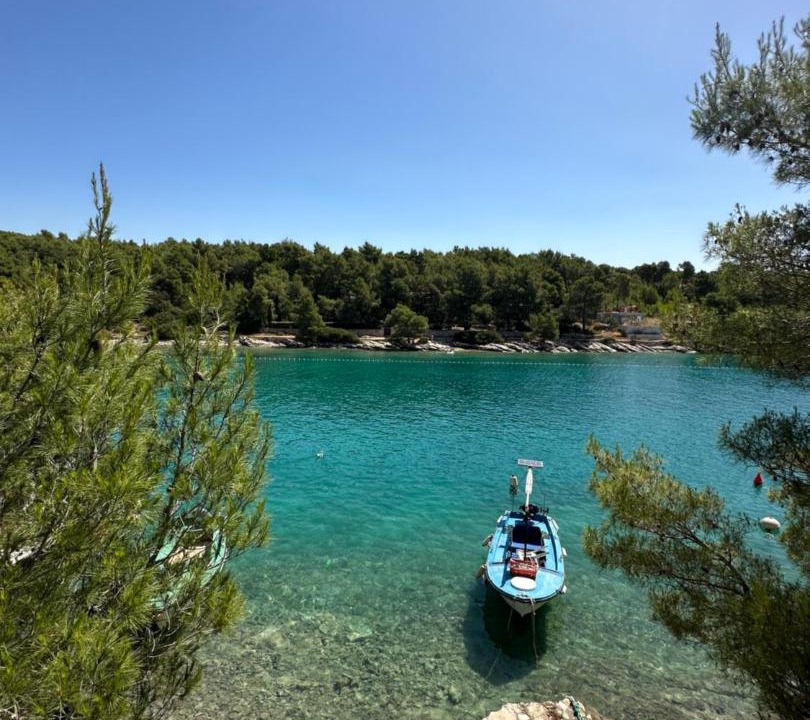 Photo of Others in Cove Osibova (Milna)