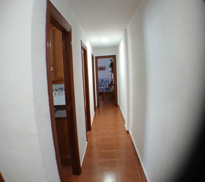 Photo of Others in Raval Roig