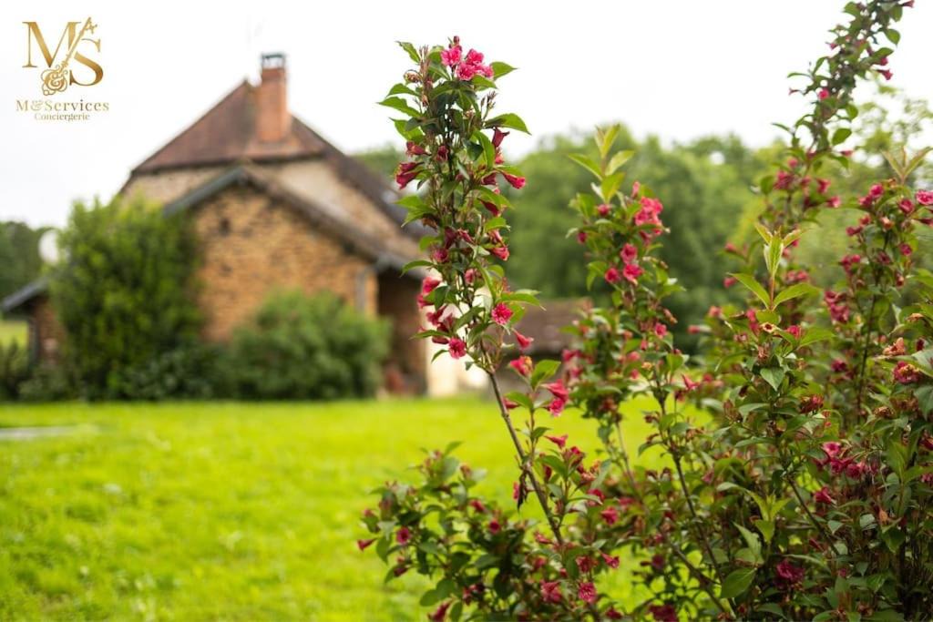 Photo of Others in Saint-Paul-la-Roche