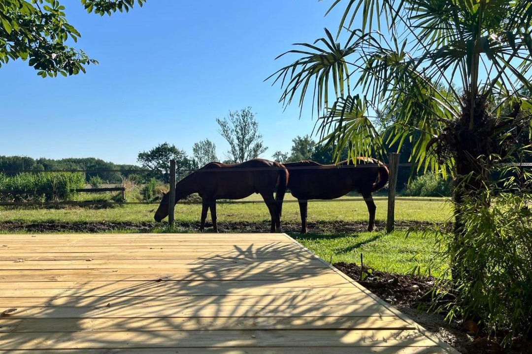 Photo of Others in Villemur-sur-Tarn