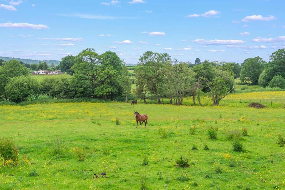 Photo of Others in Kenn