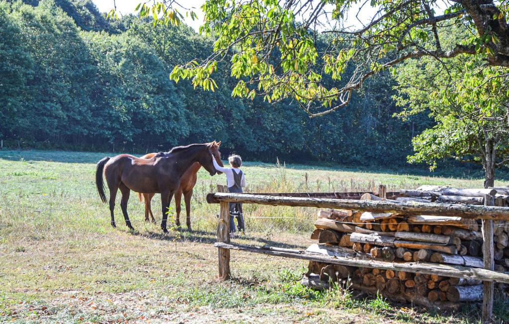 Photo of Others in Domfront-en-Champagne