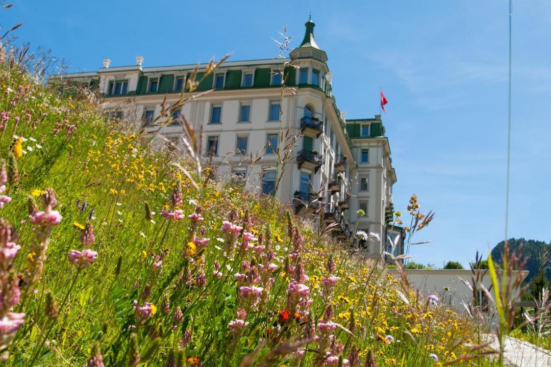 Photo of Others in Pontresina