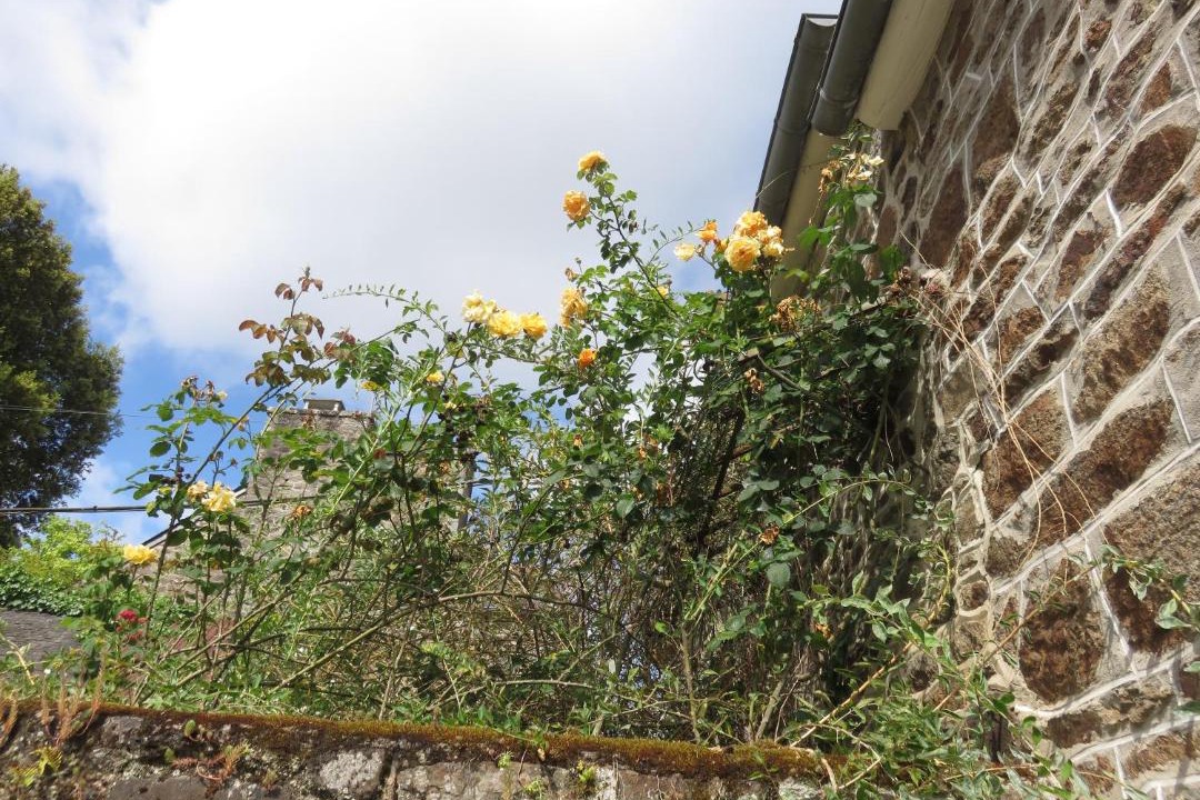 Photo of Others in Pleudihen-sur-Rance