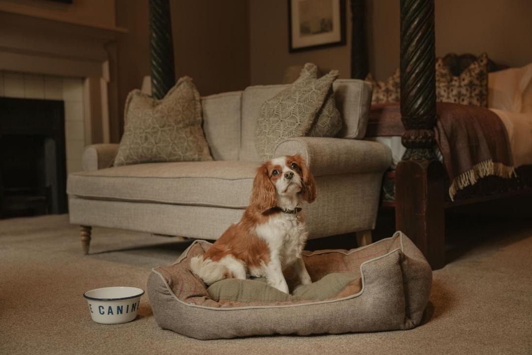 Photo of Others in Stamford