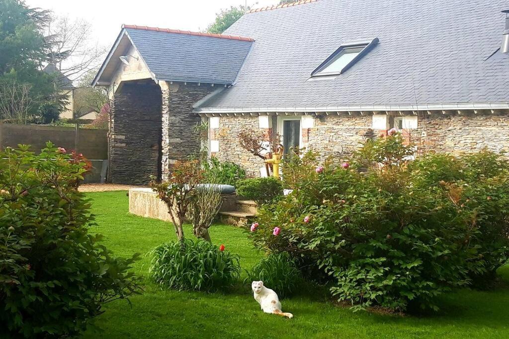 Photo of Others in Juigne-sur-Loire