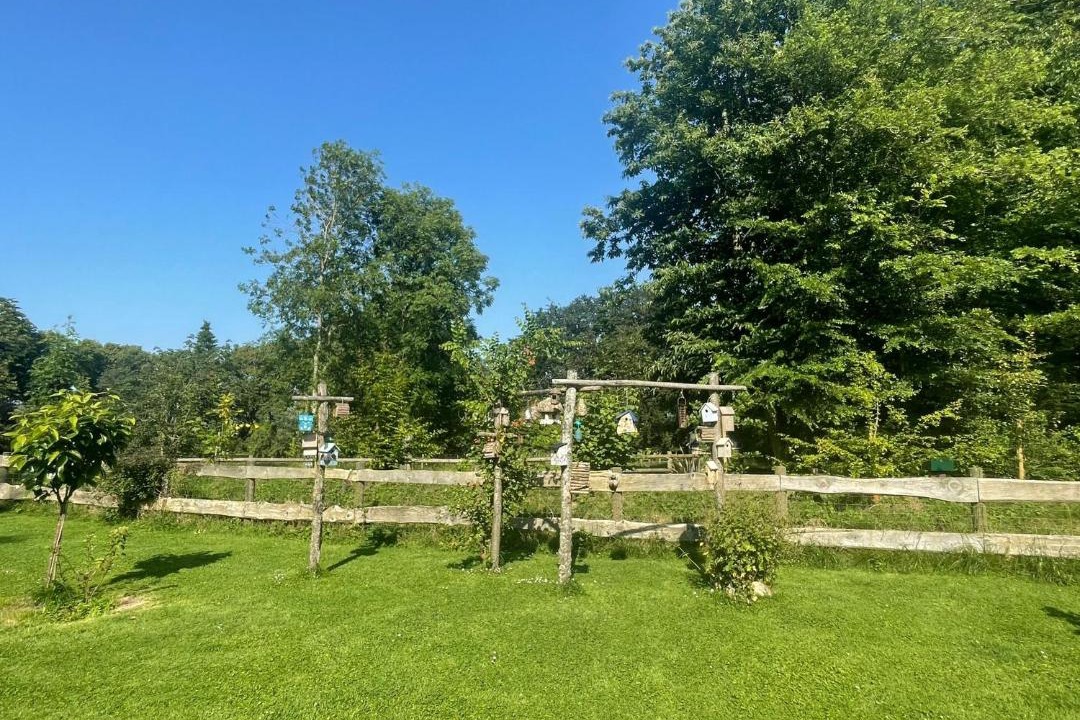 Photo of Others in Benarville