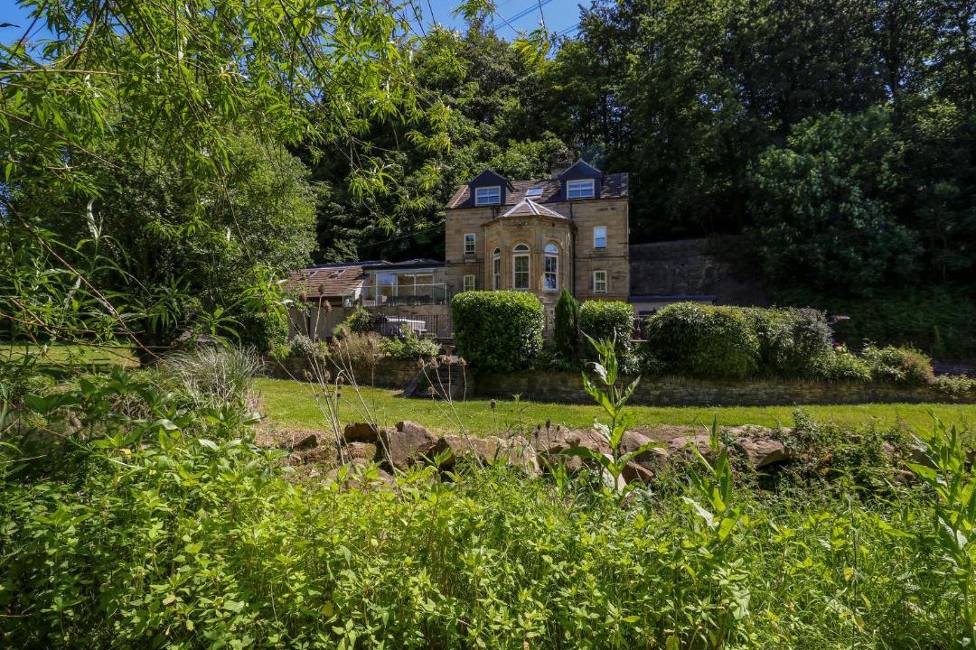 Photo of Others in Halifax