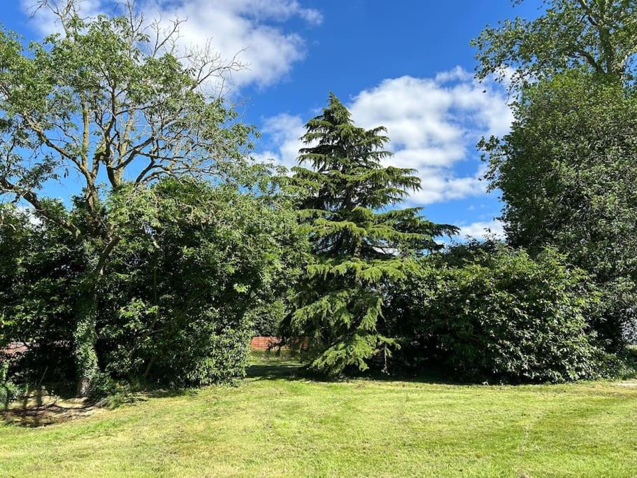 Photo of Others in Emanville