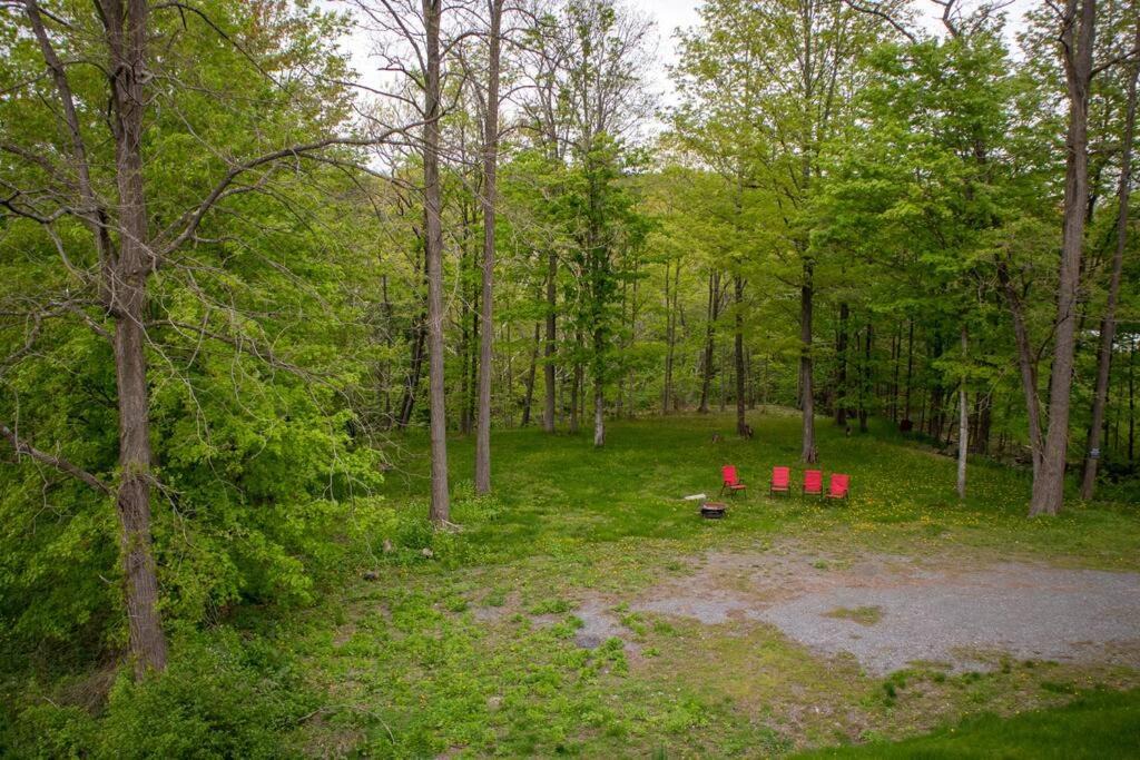 Photo of Others in East Durham