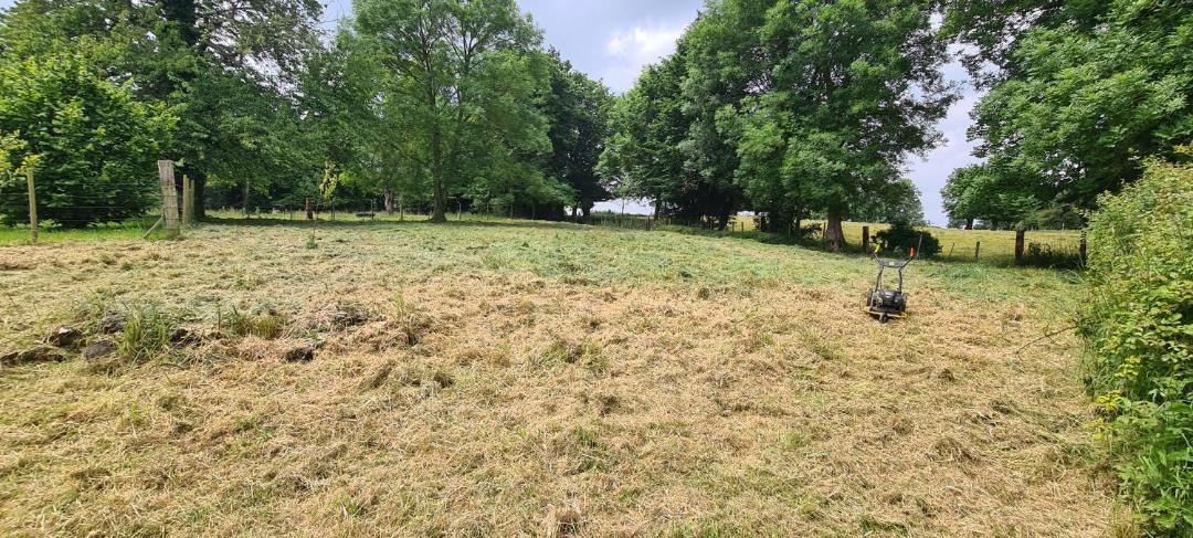 Photo of Others in Ames