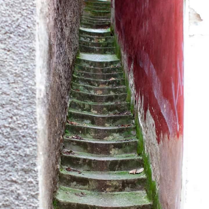 Photo of Others in Anguiano