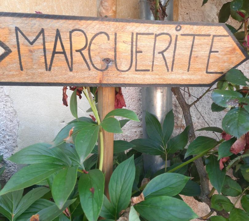 Photo of Others in Montreuil-en-Touraine