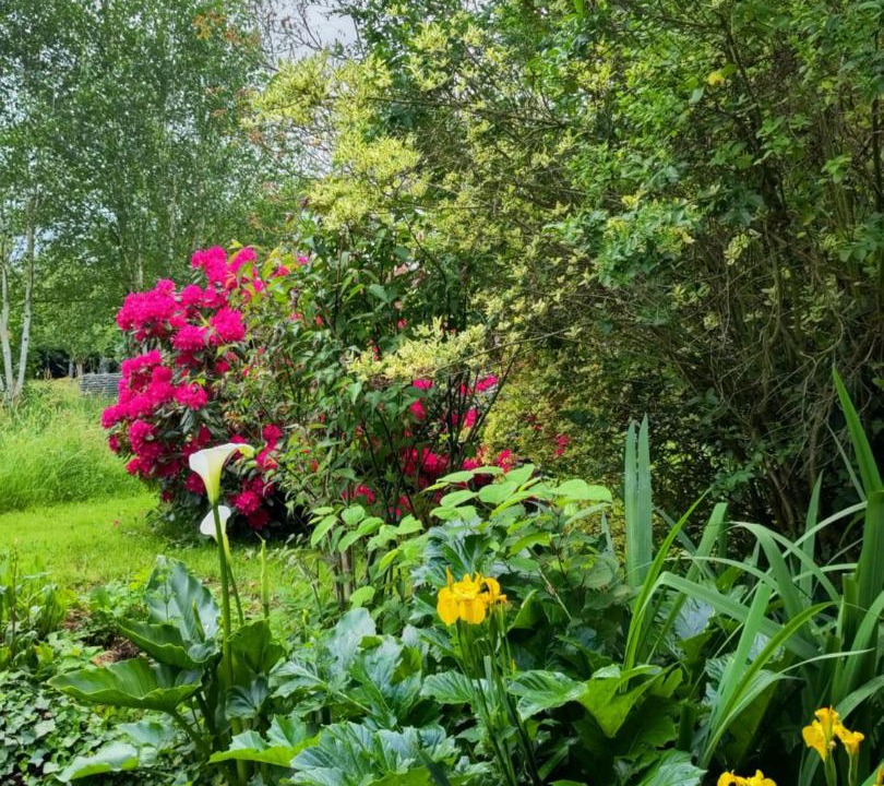 Photo of Others in Pont Farcy