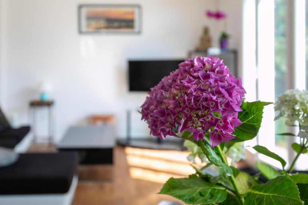 Photo of Others in Ploumagoar