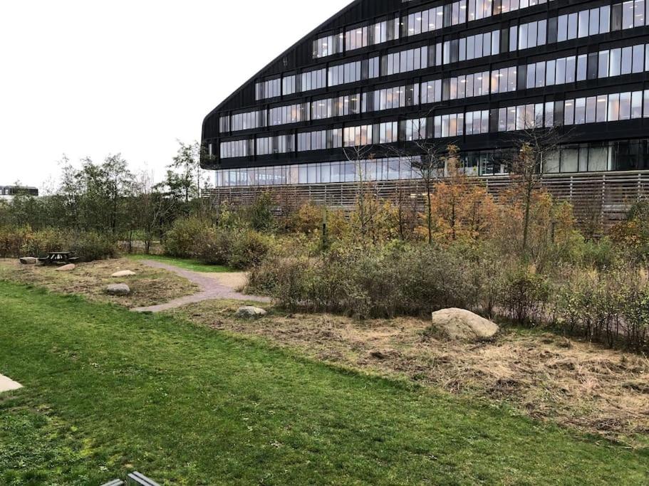 Photo of Others in Amager